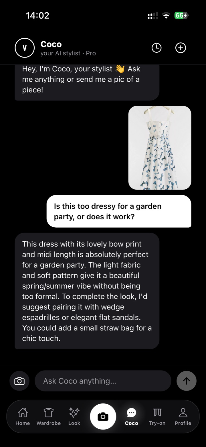 Viblook Coco advice on a dress